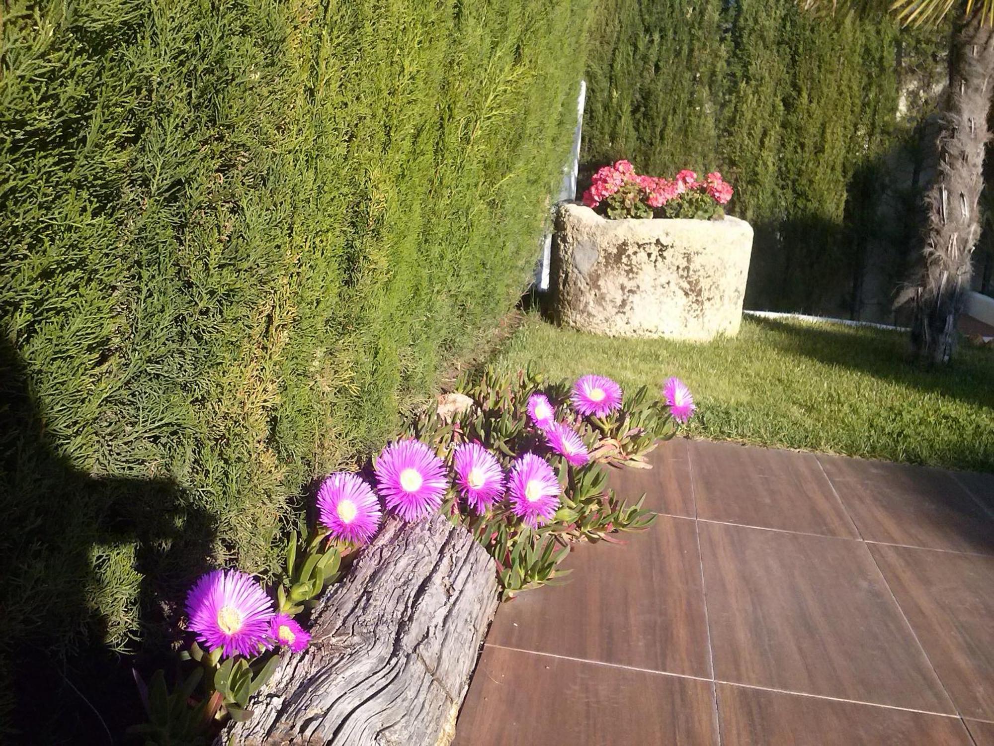 מונאצ'יל Chalet Airam מראה חיצוני תמונה