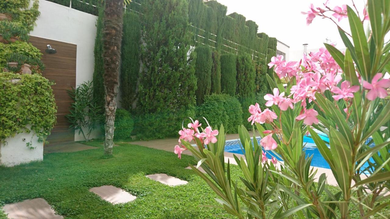 מונאצ'יל Chalet Airam מראה חיצוני תמונה